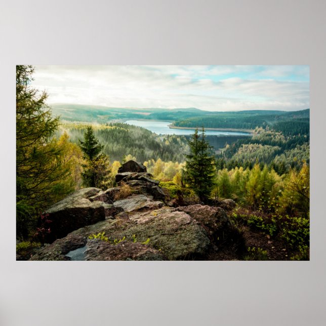 Poster Forests | Ore Mountains Germany (Frente)