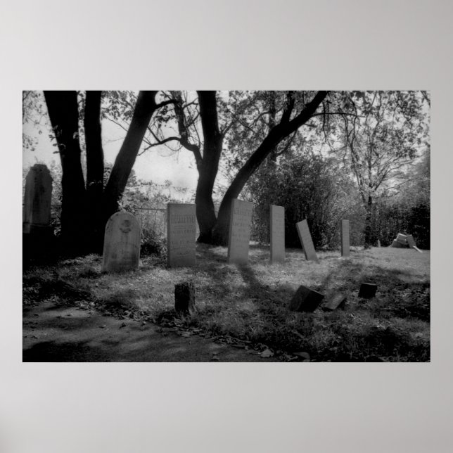 Pôster Forgotten (Frente)