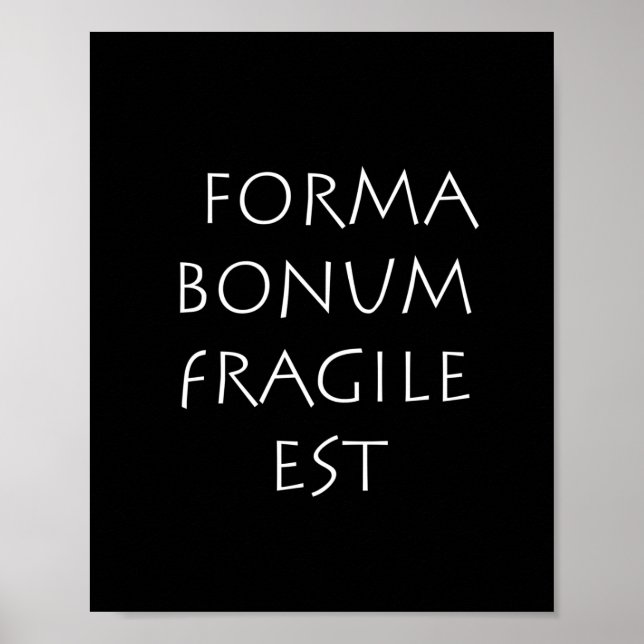 Poster Forma bonum frágil (Frente)