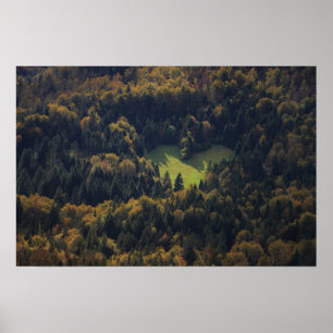 Pôster Forma cardíaca numa floresta na Eslovênia