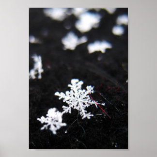 Pôster Forma de inverno