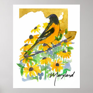 Poster Forma do Estado de Maryland Baltimore Oriole Susan
