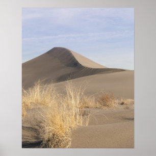 Pôster Formações de dunas de areia. Bruneau Dunes State P