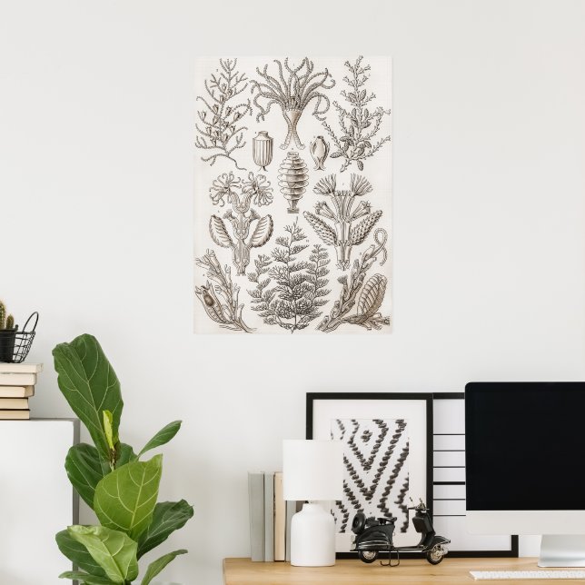 Poster Formas de Arte na Natureza - Ernst Haeckel (Escritório em casa)