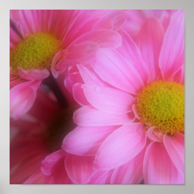 Poster formas sutis (Frente)