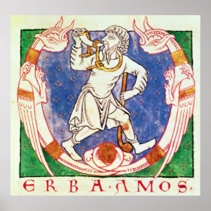 Poster Forme de duas criaturas voadas com entrelaçado