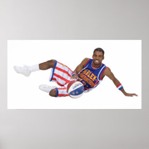 Poster Formiga Atkinson