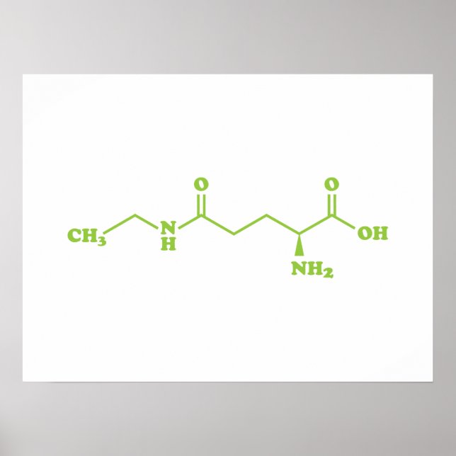 Poster Fórmula Química Molecular da Teanina do Chá (Frente)