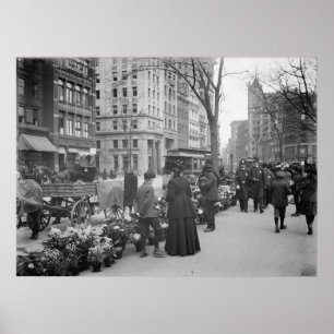 Pôster Fornecedor de Flor