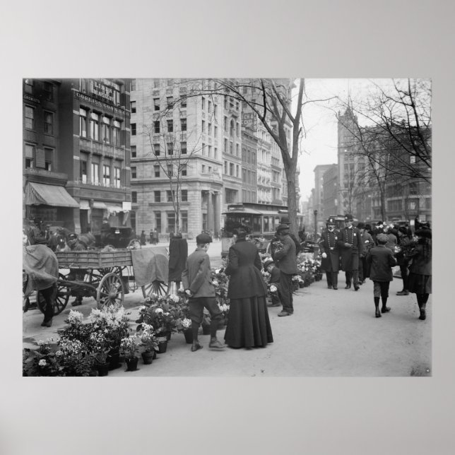 Pôster Fornecedor de Flor (Frente)