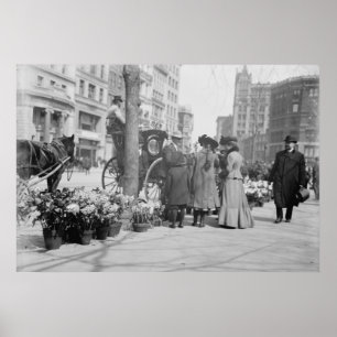 Pôster Fornecedor de Flor