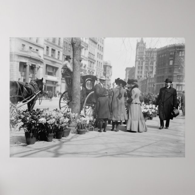 Pôster Fornecedor de Flor (Frente)