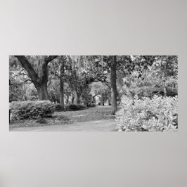 Poster Forsyth Park, Savannah Ga