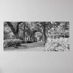 Poster Forsyth Park, Savannah Ga