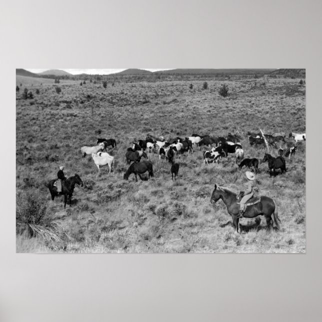 Pôster Fort Rock, Oregon Cowboy no Jardim do Diabo (Frente)