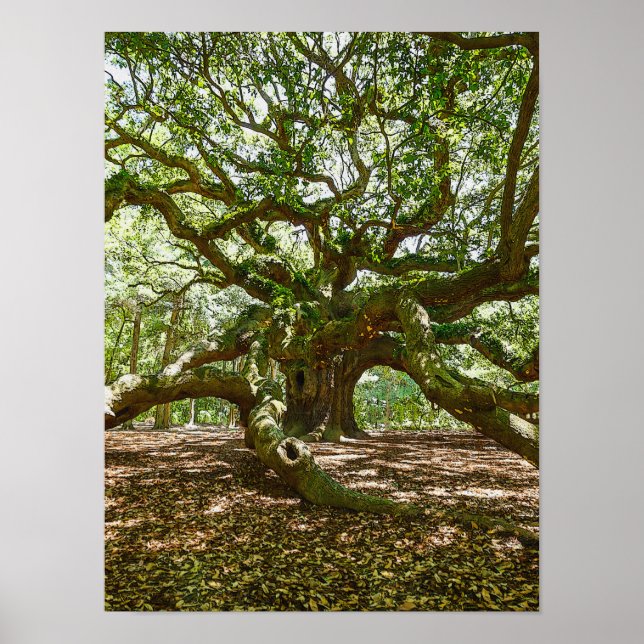 Pôster Forte E Negrito (Frente)