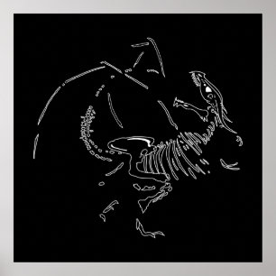 Poster Fósseis do Dragão