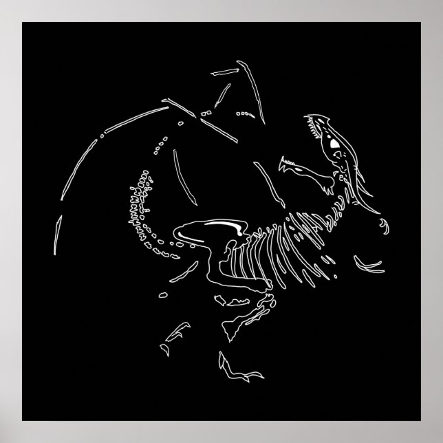 Poster Fósseis do Dragão (Frente)