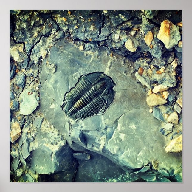 Poster Fóssil (Frente)