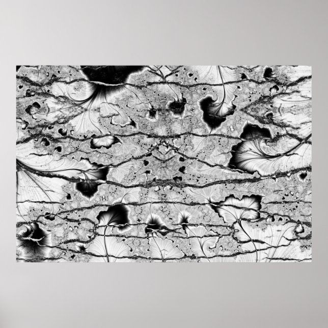 Poster Fóssil (Frente)