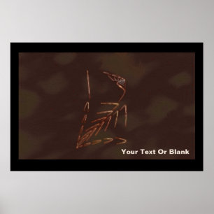 Pôster Fóssil Jurássico