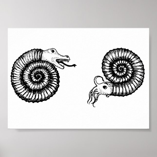 Poster Fóssil: Snakestone ou Ammonite? (Frente)
