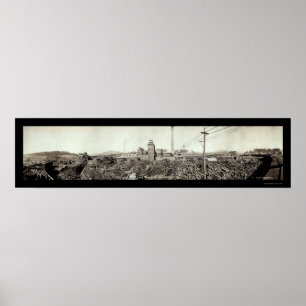 Poster Foto 1910 da madeira serrada da fibra do campeão