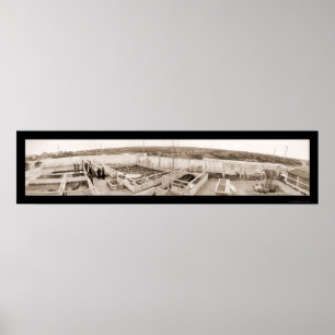 Pôster Foto 1910 de Florida da fazenda do jacaré