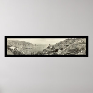 Poster Foto 1914 da ilha de Catalina do papai noel