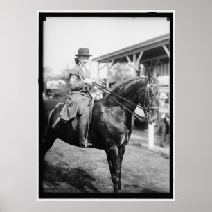 Poster Foto 1916 da mostra do cavalo do vintage