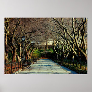 Poster Foto conservadora da paisagem do Central Park