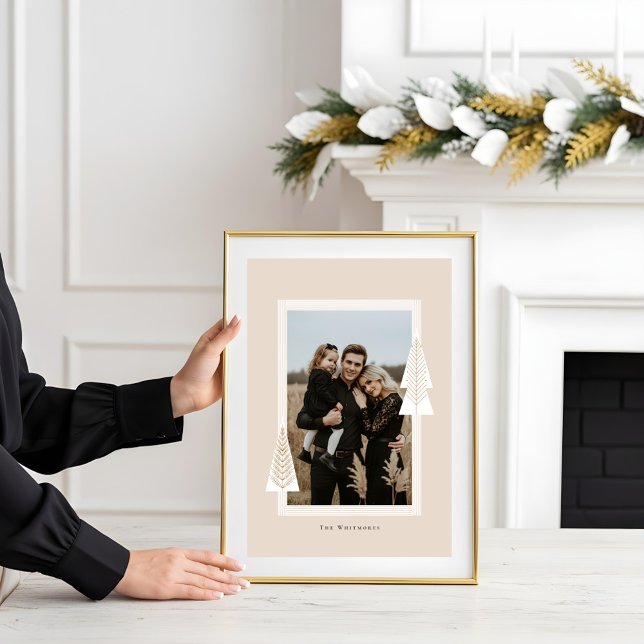 Poster Foto da Árvore de Natal Evergreen do Quadro de dis (Modern Stripe Frame Evergreen Christmas Tree Photo Poster)