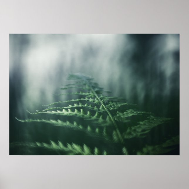 Poster Foto da natureza do Dark Moody Fern (Frente)