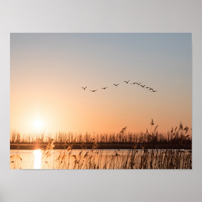 Poster Foto da natureza sunrise (Frente)