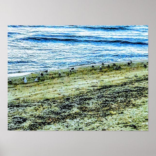 Poster Foto da Paisagem da Praia de Rhode Island (Frente)