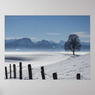 Poster Foto da Paisagem do Campo de Inverno de Snowy