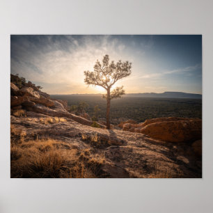 Poster Foto da Paisagem do Novo México