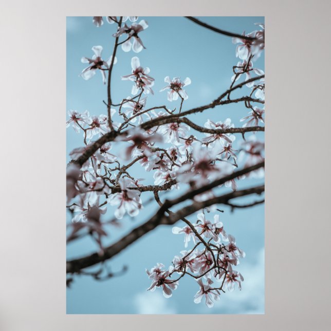 POSTER FOTO DAS FLORES PETALIZADAS BRANCAS (Frente)
