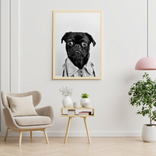 Poster Foto de animal de cachorro preto e branco, engraça