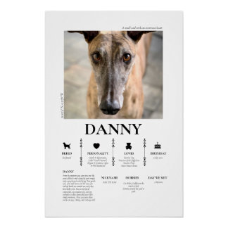 Pôster Foto de Animal de Estimação Personalizada