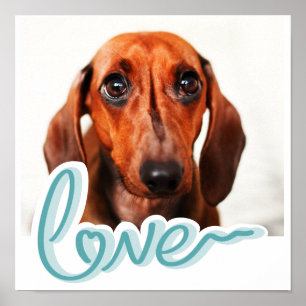 Poster Foto de animal de estimação personalizada com AMOR