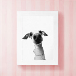 Poster Foto de animal de estimação personalizada moderna