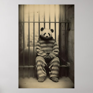 Poster Foto de Animal Vintage de Panda Divertido na Prisã