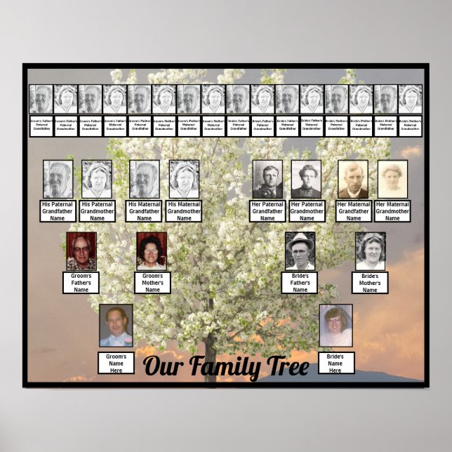 Poster Foto de árvore de duas árvores da família | Sunset (Frente)