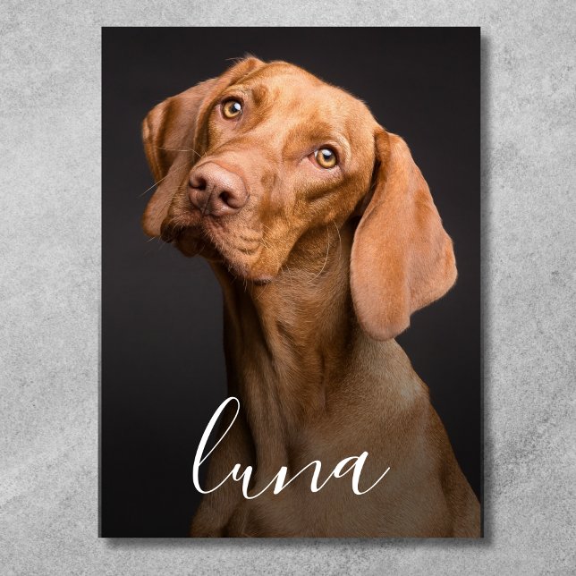 Poster Foto de cachorro personalizada com nome (Pet Photo Poster)