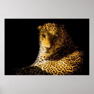 POSTER FOTO DE CLOSEUP DE LEOPARD