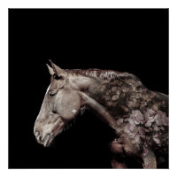 Foto De Flor De Cavalo De Exposição Dupla E Gorda