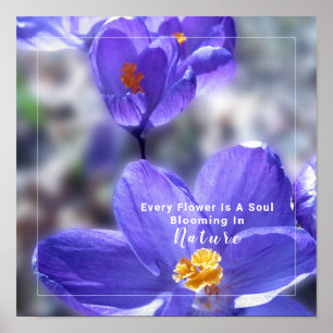 Poster Foto de Flor de Crocus com Cotação