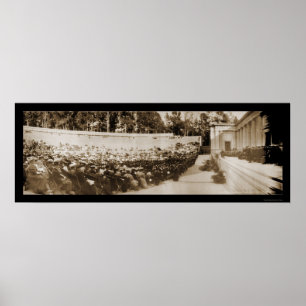 Poster Foto de Graduação da UC Berkeley 1906