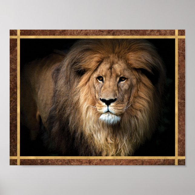 Poster Foto de Leão Majestoso (Frente)